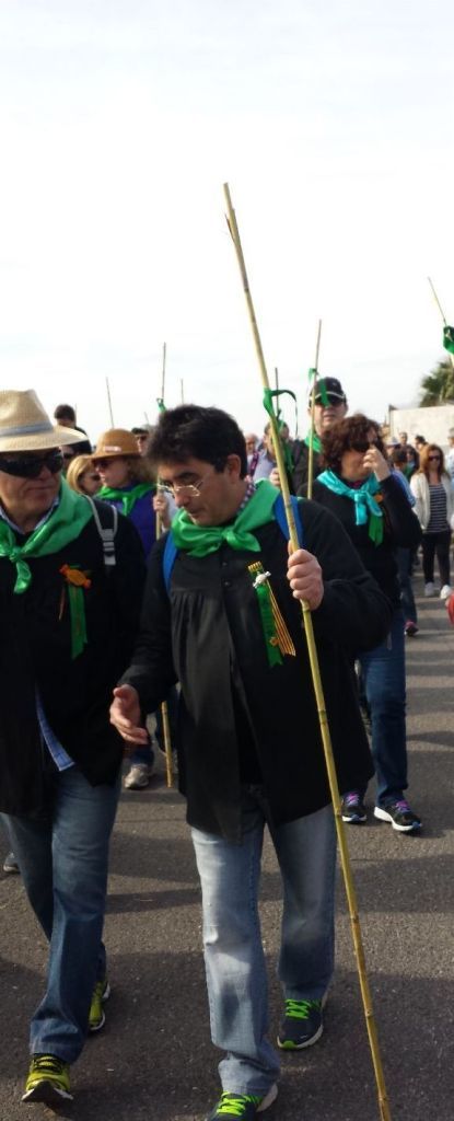 desfile cañas