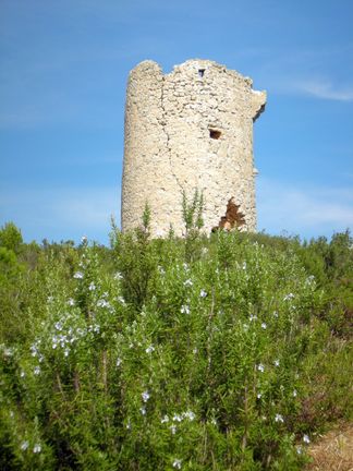 Torre ebri